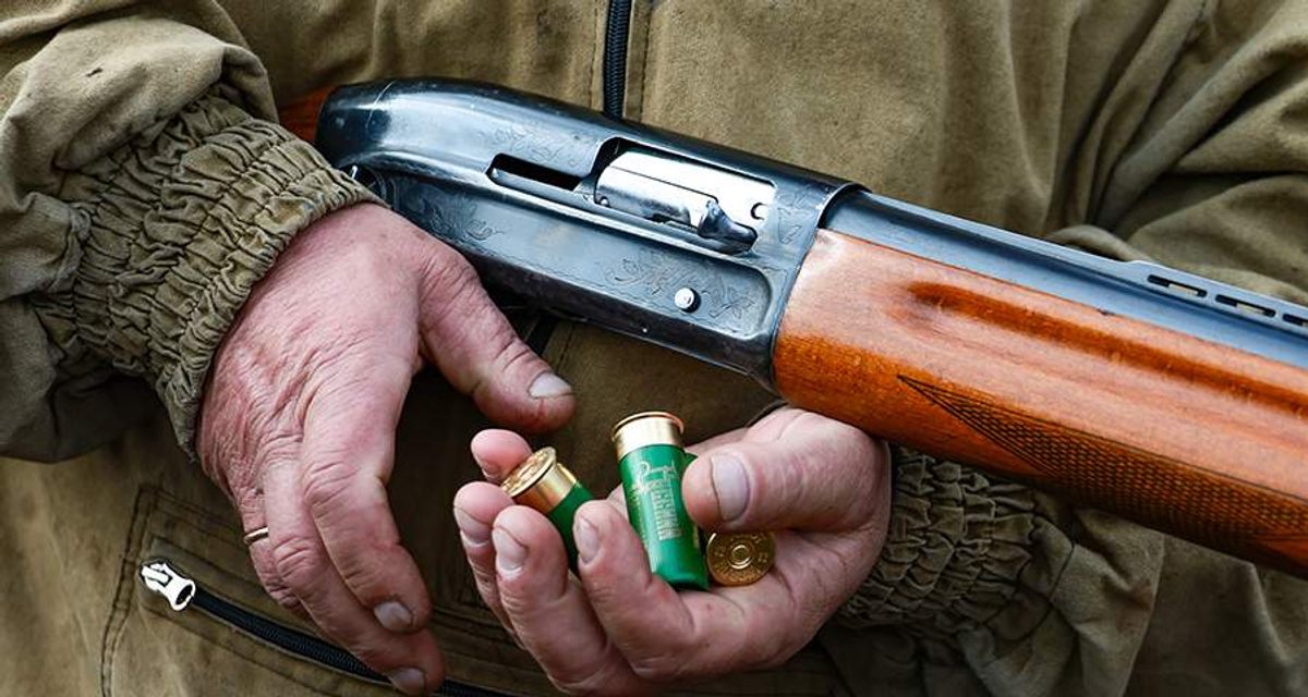 В Бурятии за сутки отстрелили 16 медведей на фоне 26 выходов к населённым пунктам