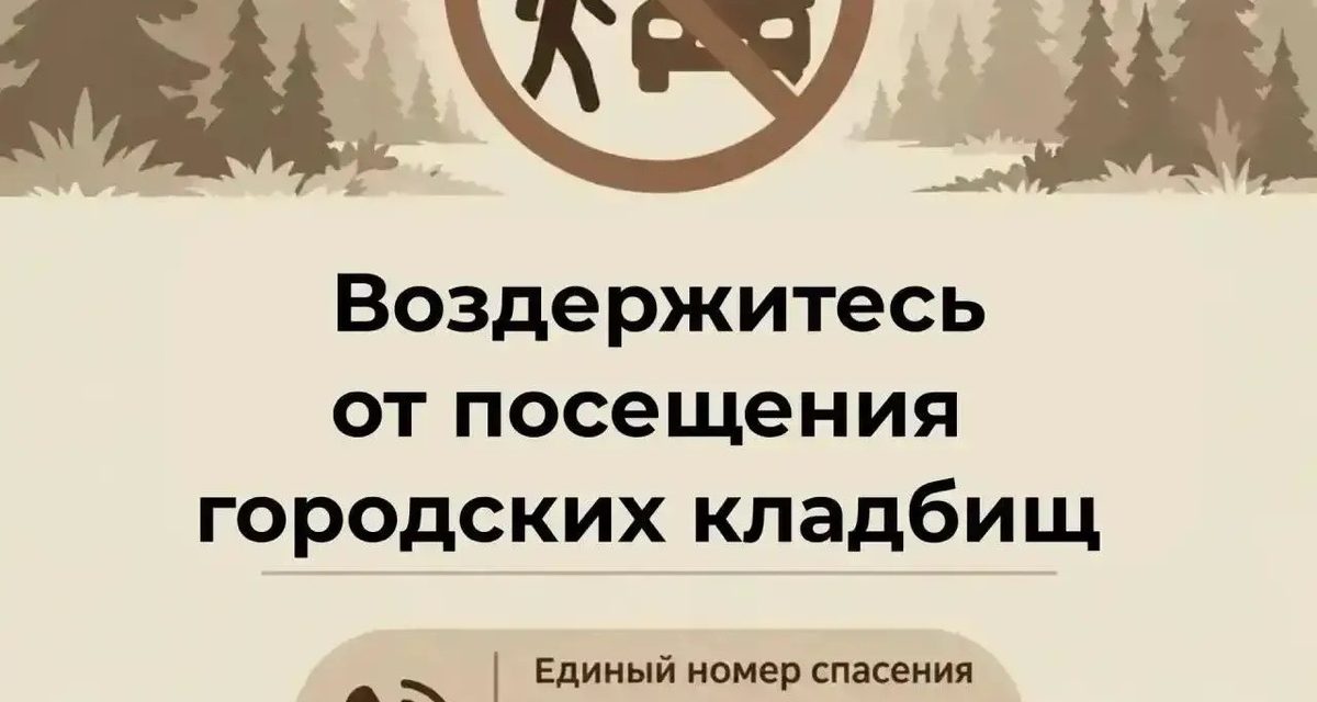 Жителей Улан-Удэ просят не ходить на кладбища из-за разгуливающих рядом медведей