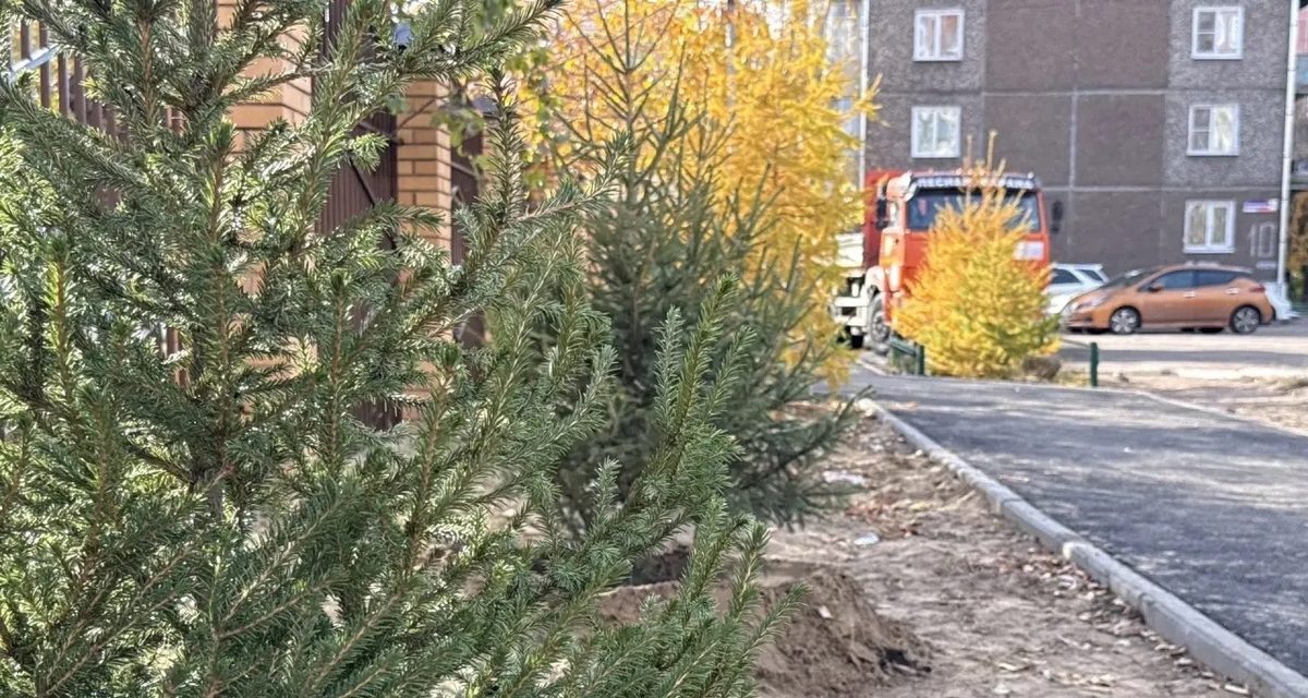 Жители 18 квартала высадили более 20 лип и елей на Аллее Славы ветеранов