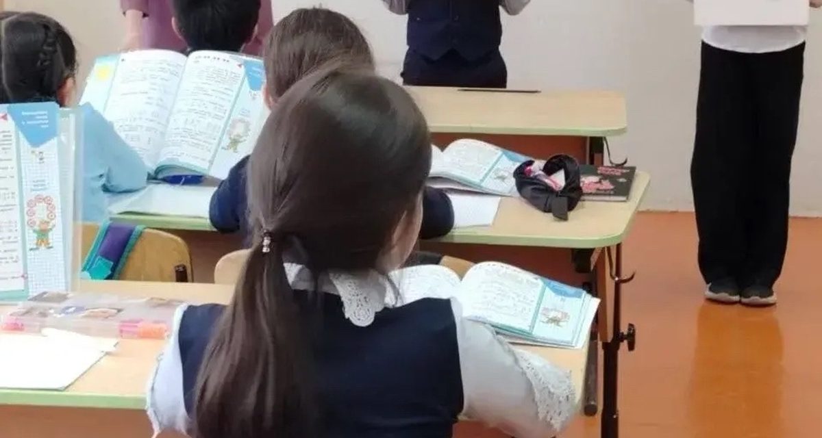 В Улан-Удэ усилен отлов безнадзорных собак перед началом учебного года